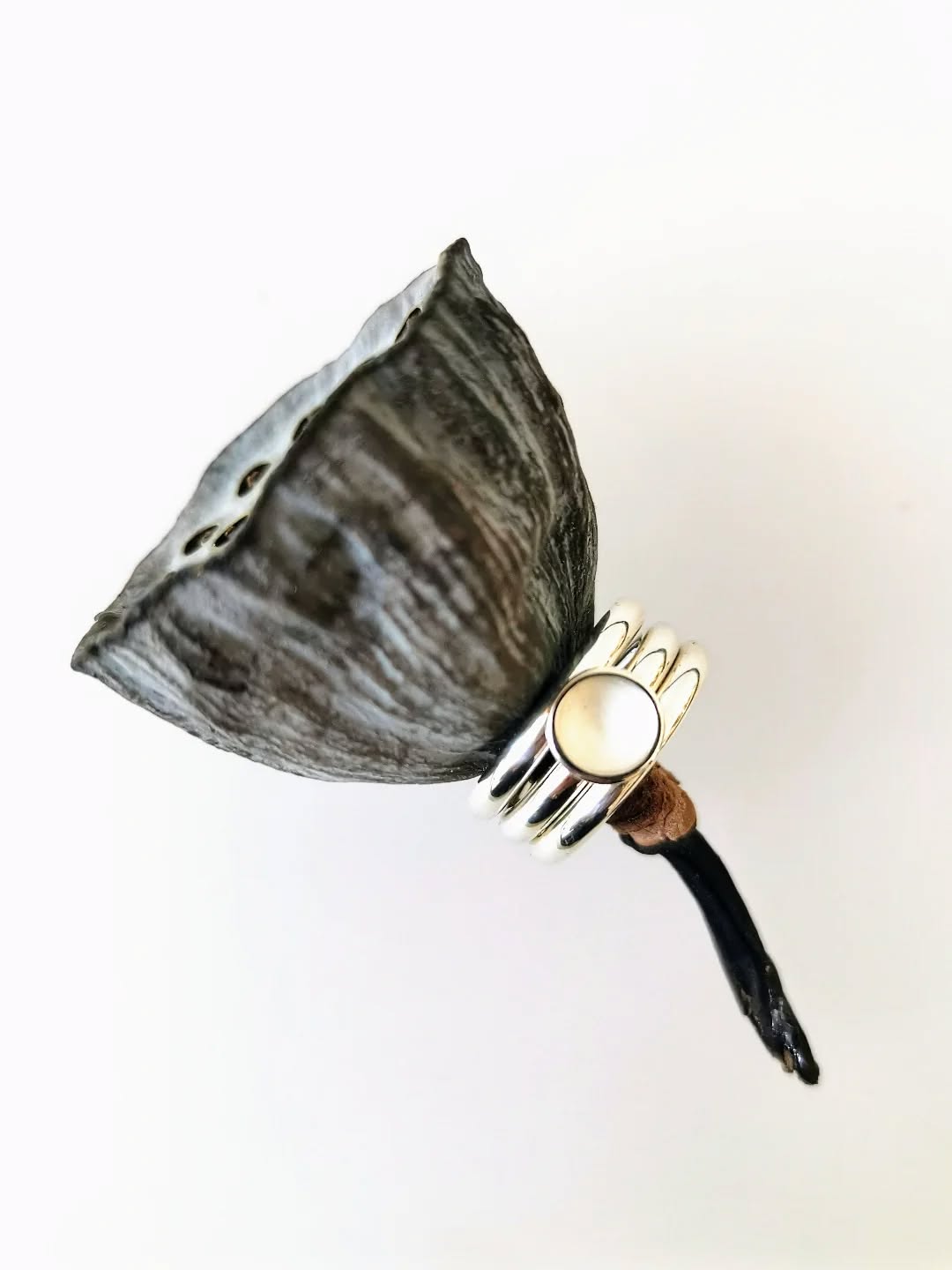 Both shaped by time. A quiet study in contrast... 
.
.
.
#bijoux #bagues #silverring #handmade #metiersdart #metiersdartoccitanie #crafts #artisanatdart #inspiredbynature #botanical #bijouxcreateur #jewellery #schmuck #uzes #saintsiffret #rings